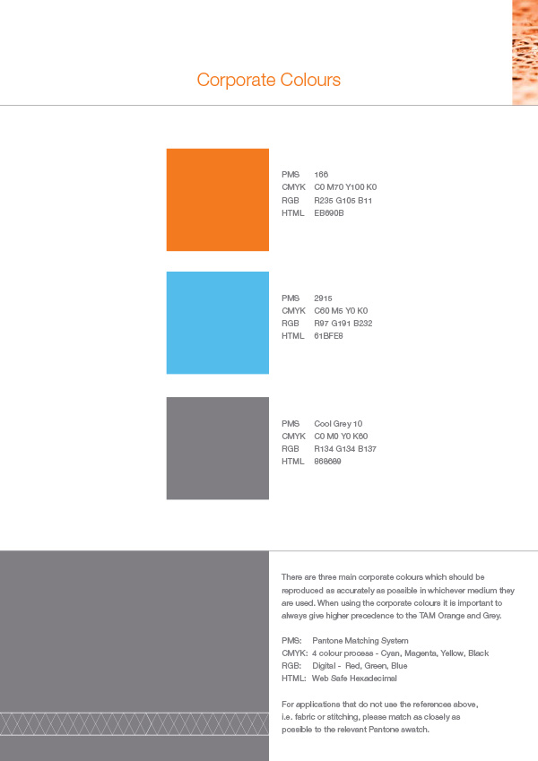 TAM International Brand Guide TAM International Brand Guide